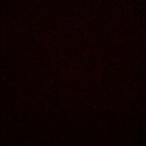 Meet your Posher, Darius